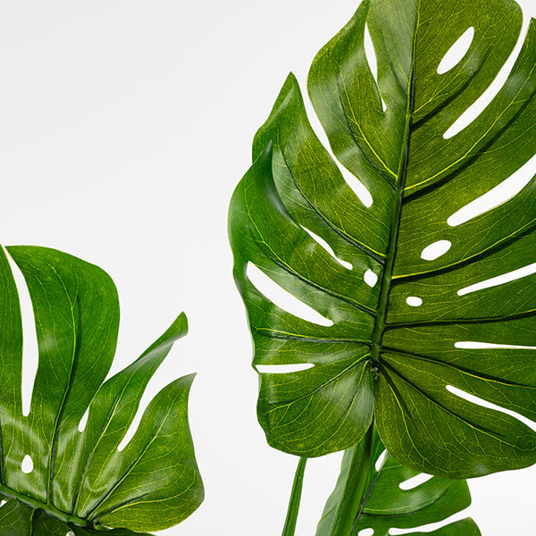 Large Artificial Cheese Plant