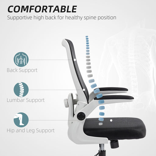 Mesh Desk Chair with Tilt Function, Lumbar Support, Black