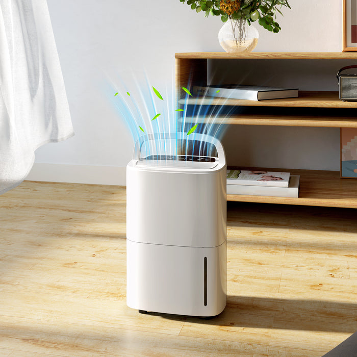 20L/Day Dehumidifier with Continuous Drainage, 5L Water Tank, Timer