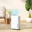 20L/Day Dehumidifier with Continuous Drainage, 5L Water Tank, Timer