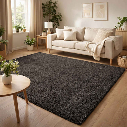 Ainsley Modern Plain Living Room Shaggy Area Rug