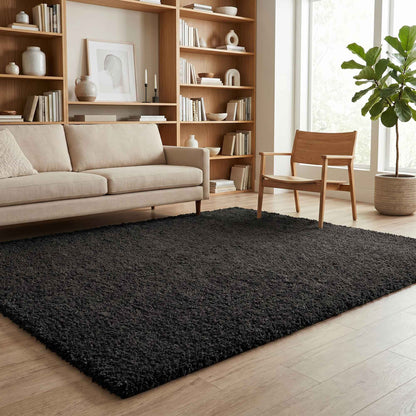 Ainsley Modern Plain Living Room Shaggy Area Rug