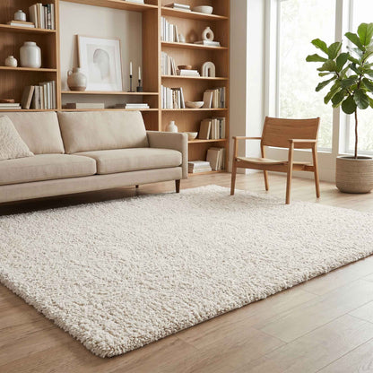 Ainsley Modern Plain Living Room Shaggy Area Rug