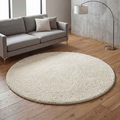 Ainsley Modern Plain Living Room Shaggy Area Rug