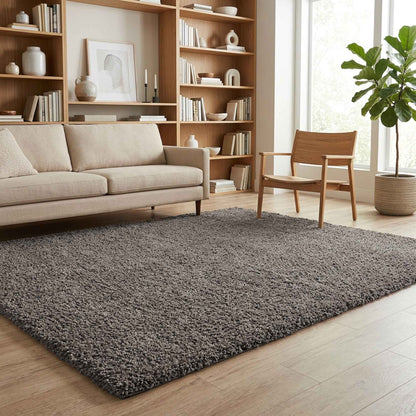 Ainsley Modern Plain Living Room Shaggy Area Rug