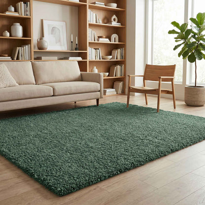 Ainsley Modern Plain Living Room Shaggy Area Rug