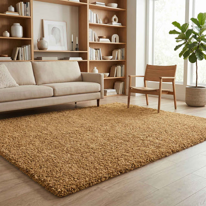 Ainsley Modern Plain Living Room Shaggy Area Rug