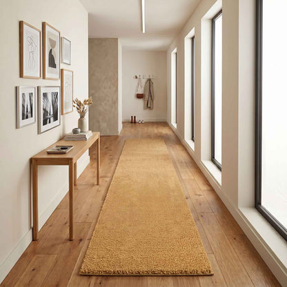 Ainsley Modern Plain Living Room Shaggy Area Rug
