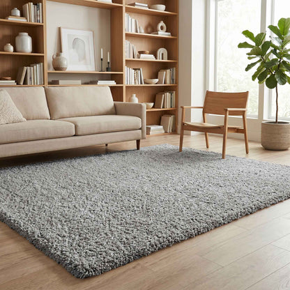 Ainsley Modern Plain Living Room Shaggy Area Rug