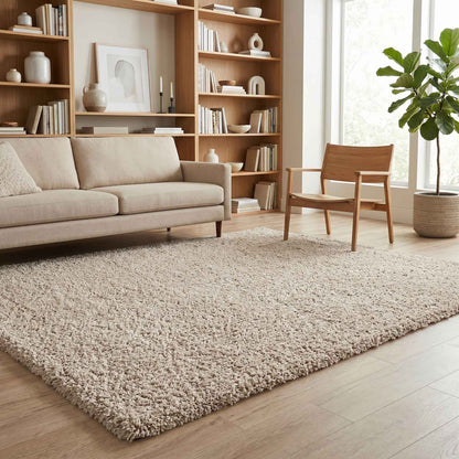 Ainsley Modern Plain Living Room Shaggy Area Rug