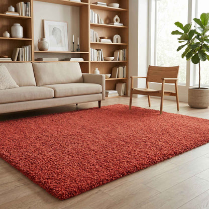 Ainsley Modern Plain Living Room Shaggy Area Rug