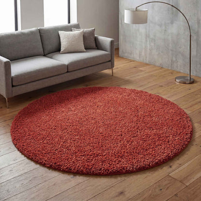 Ainsley Modern Plain Living Room Shaggy Area Rug