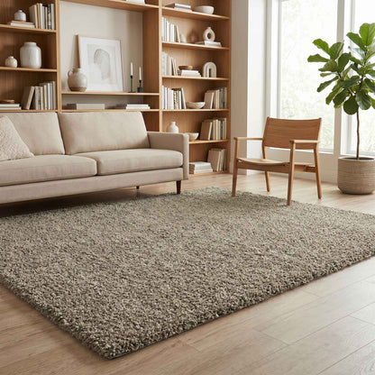 Ainsley Modern Plain Living Room Shaggy Area Rug