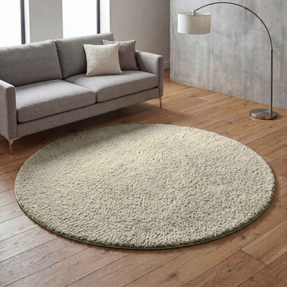 Ainsley Modern Plain Living Room Shaggy Area Rug