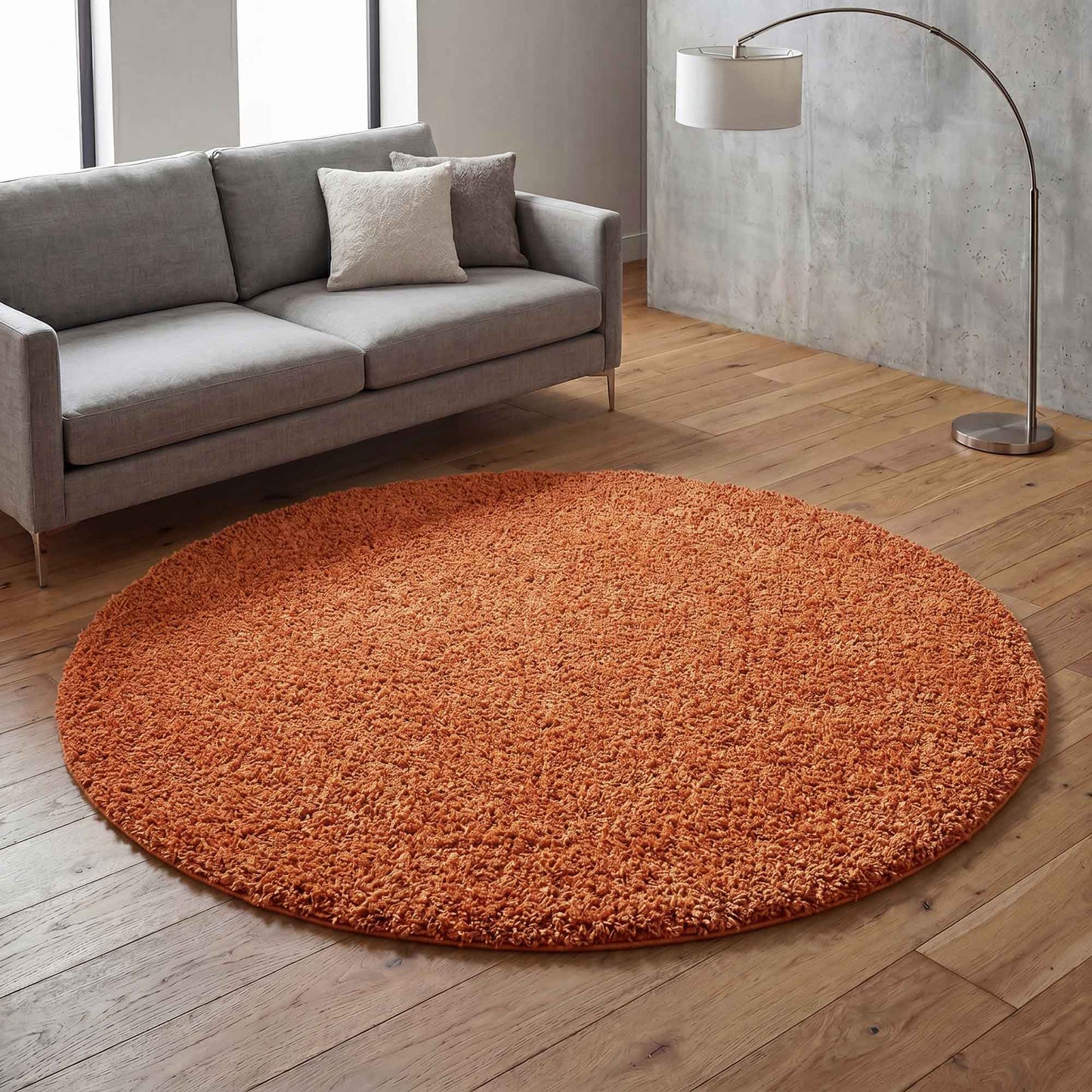 Ainsley Modern Plain Living Room Shaggy Area Rug