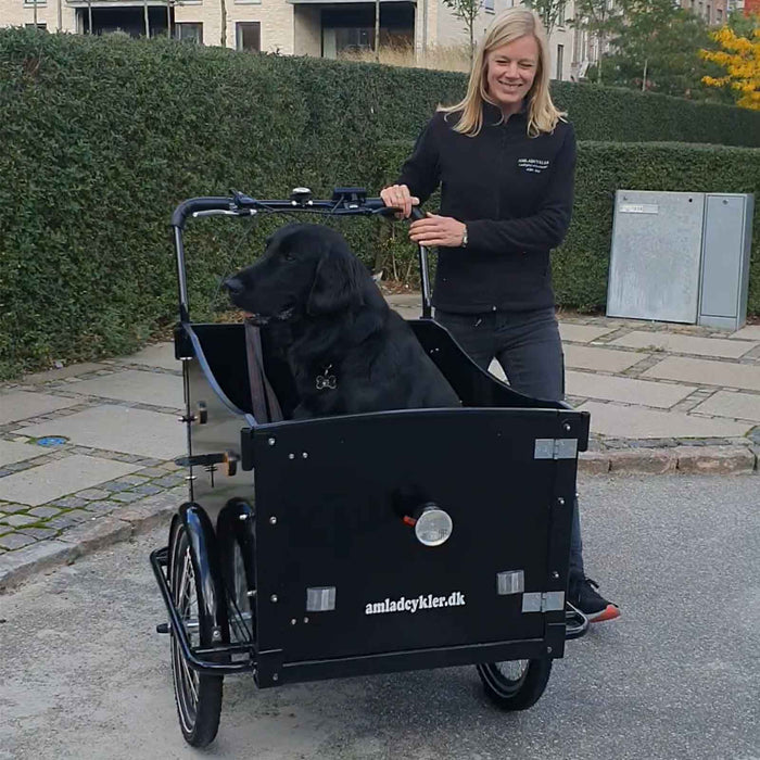 AMCARGOBIKES PREMIUM CURVE DOG FRIENDLY CARGO ELECTRIC TRICYCLE – BLACK