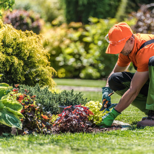 Get Your Garden Summer-Ready and Transform Your Outdoor Space with Gardening Solutions Jersey - Choose from 1.5-hour or 3-hour Sessions Tailored To Your Needs! Starting from Just £57.50