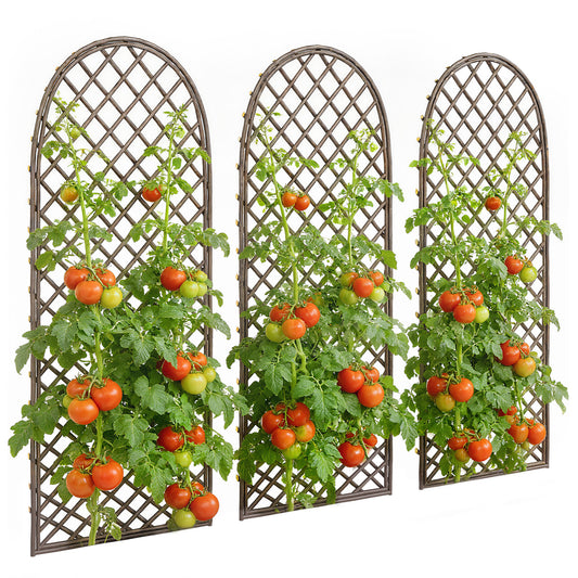 Garden Arch, Wicker Trellis Support Frame with Dome Top, Natural