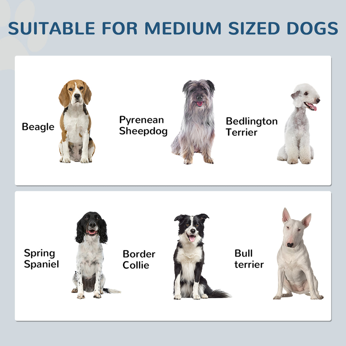 Dog Feeding Station with Storage, Pet Feeding Station with Dog Bowls