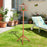 Portable Wooden Bird Feeder Station with Stand for Garden, Patio or Balcony