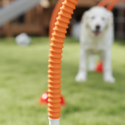 4 Piece Dog Agility Training Equipment with Carry Bag, Orange