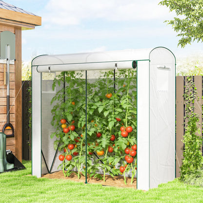 Mini Greenhouse, Portable Indoor Outdoor Green House with PE Cover