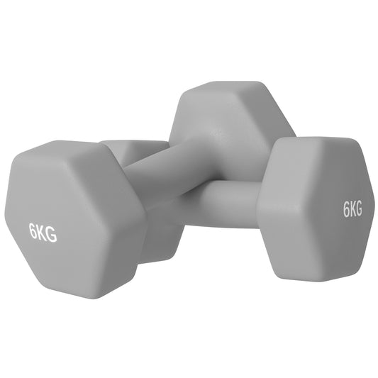 Set of 2 Hexagonal Dumbbells Weights Pair, 2 x 6kg, Grey