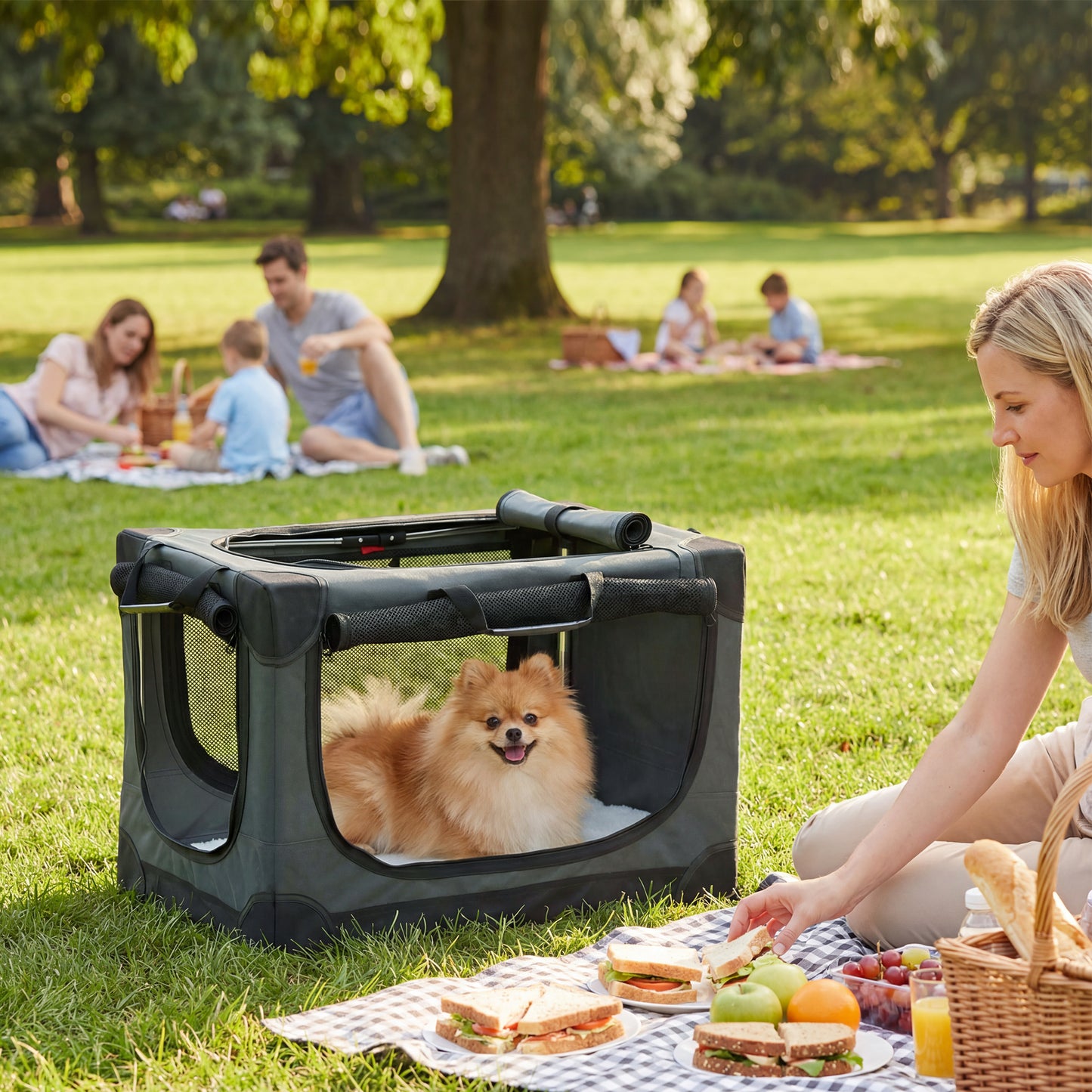 Collapsible Dog Crate Portable Pet Travel Carrier 60 x 42 x 43 cm