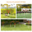 Dog Agility Equipment Set with 4 PCS Weave Pole, Orange