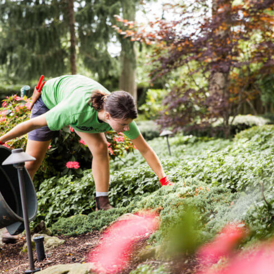 Transform Your Garden This Winter with Dream Team Gardening – Expert 3-4 Hour Tidy-Ups Starting from Just £90!