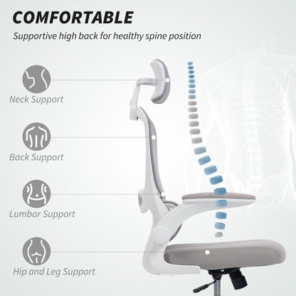 High Back Mesh Computer Desk Chair with Lumbar Support, Grey
