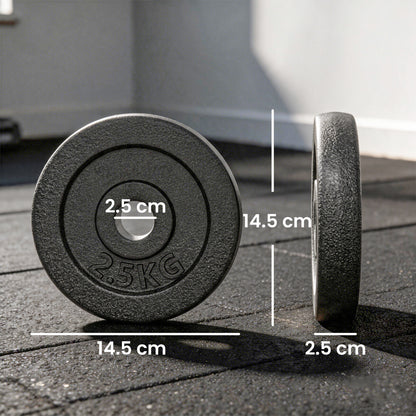 Weight Plates Set, 1"/2.5cm Weight Disc Pair, 4 x 2.5kg Metal Dumbbell/Barbell Plates for Weightlifting and Strength Training Home Gym Fitness Workout, Grey