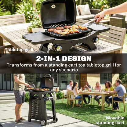 2 Burner Gas Grill, 3.8 KW Barbecue Grill with Cast Iron Grates