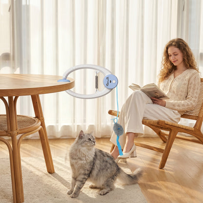 Interactive Cat Toys for Indoor Kittens & Adult, Smart Touch Automatic Cat Toy, USB Rechargeable Door Hanging Bouncing Mouse Teaser for Kitten Exercise and Enrichment