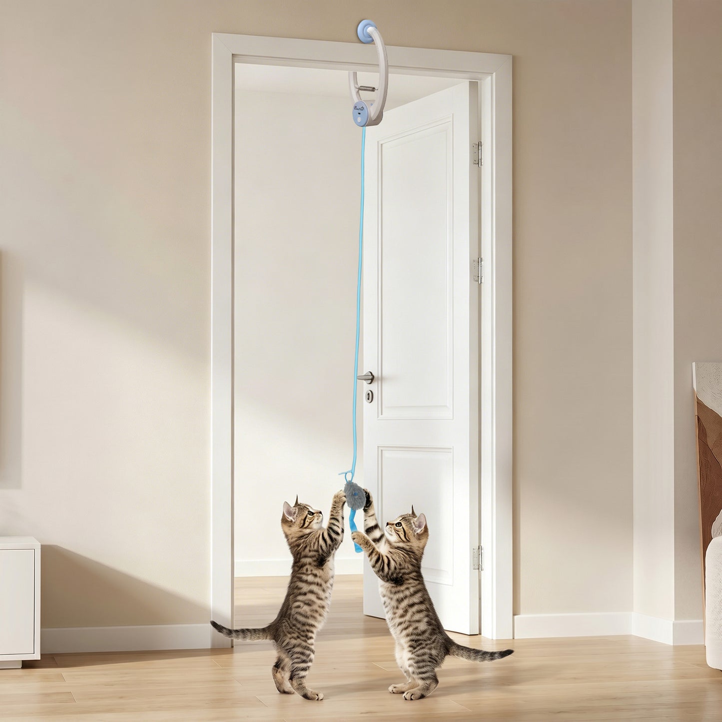 Interactive Cat Toys for Indoor Kittens & Adult, Smart Touch Automatic Cat Toy, USB Rechargeable Door Hanging Bouncing Mouse Teaser for Kitten Exercise and Enrichment