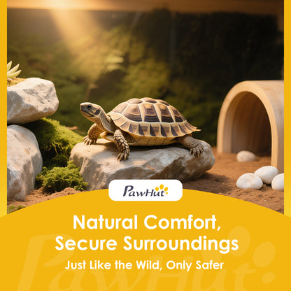 Tortoise House w/ Mesh Roof, Small Pet Reptile Wooden House - Blue
