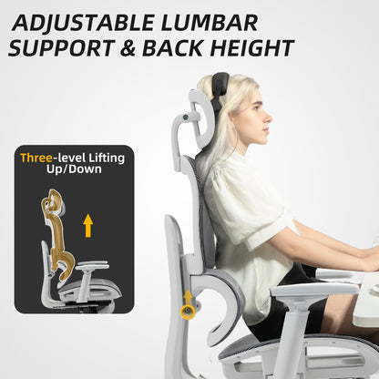 Ergonomic Office Chair Swivel Computer Chair with 3D Armrest Grey