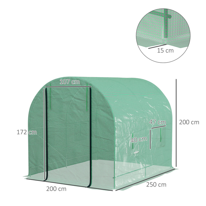 2.5 x 2m Walk-In Polytunnel Greenhouse, with Steel Frame, PE Cover, Roll-Up Door and 4 Windows, Green