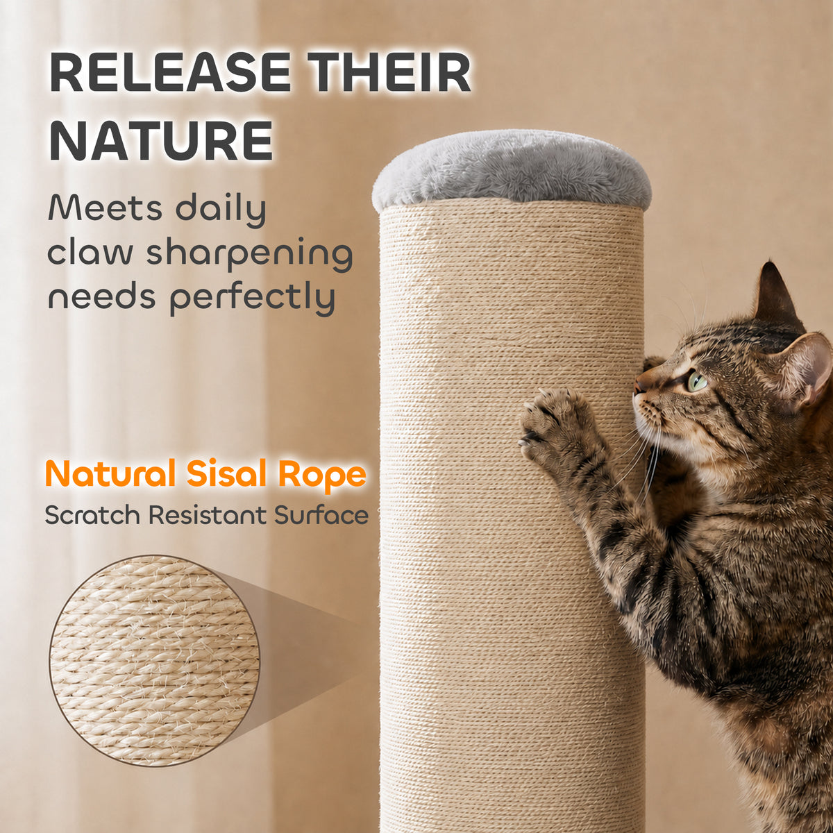 Cat Scratching Post, 76cm Tall Scratch Post for Indoor Cats
