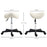 Saddle Stool Adjustable Rolling Salon Chair for Massage Spa Beauty White