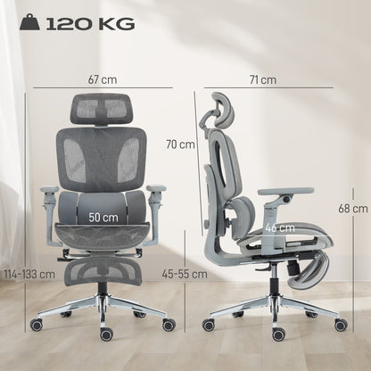 Ergonomic Office Chair, Mesh Desk Chair with Lumbar Support, Footrest