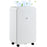 12L/Day Portable Quiet Air Dehumidifier with Purifier, Timer, 5 Modes Removes Moisture & Helps With Damp