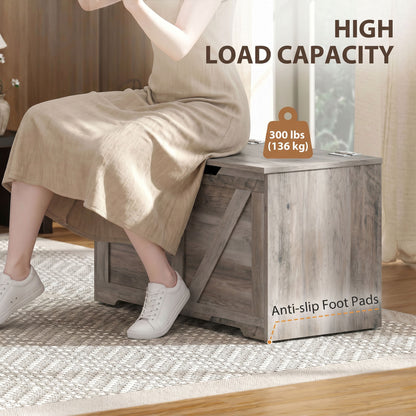 Storage Trunk for Living Room, with Safety Hinge, 80cm, Grey