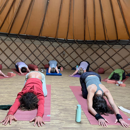 Unlimited Yoga for 30 Days at The Shala at JOY Retreat in St. Aubin – Enjoy Morning, Midday & Evening Classes in a Peaceful, Restorative Environment for just £50 per person