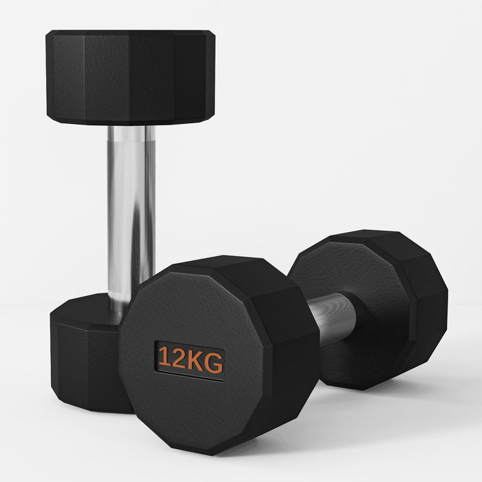 Dumbbells Weights Set with 12-Sided Shape and Non-Slip Grip, 2 x 12kg