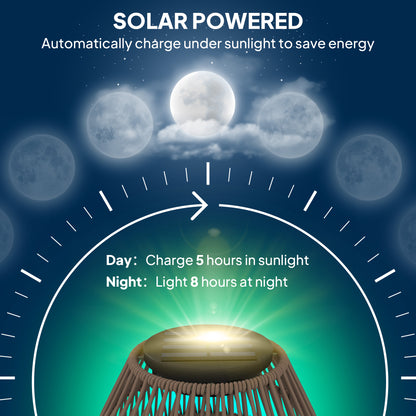 Rattan Solar Lamp, Auto On/Off Garden Lantern, Dark Brown