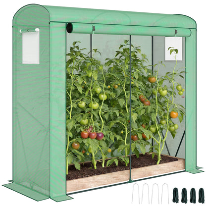 Mini Greenhouse, Portable Indoor Outdoor Green House with PE Cover