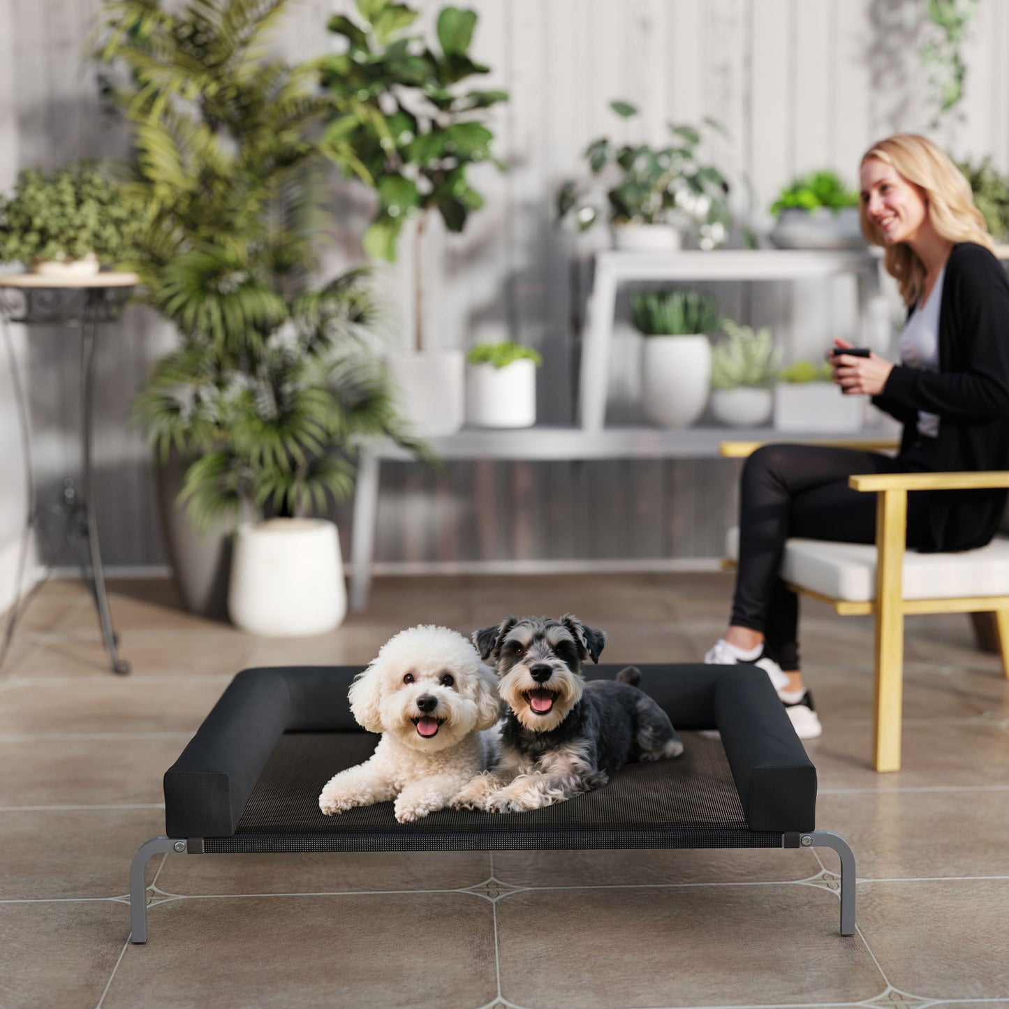 Elevated Dog Bed, Raised Dog Bed with Removable Bolsters