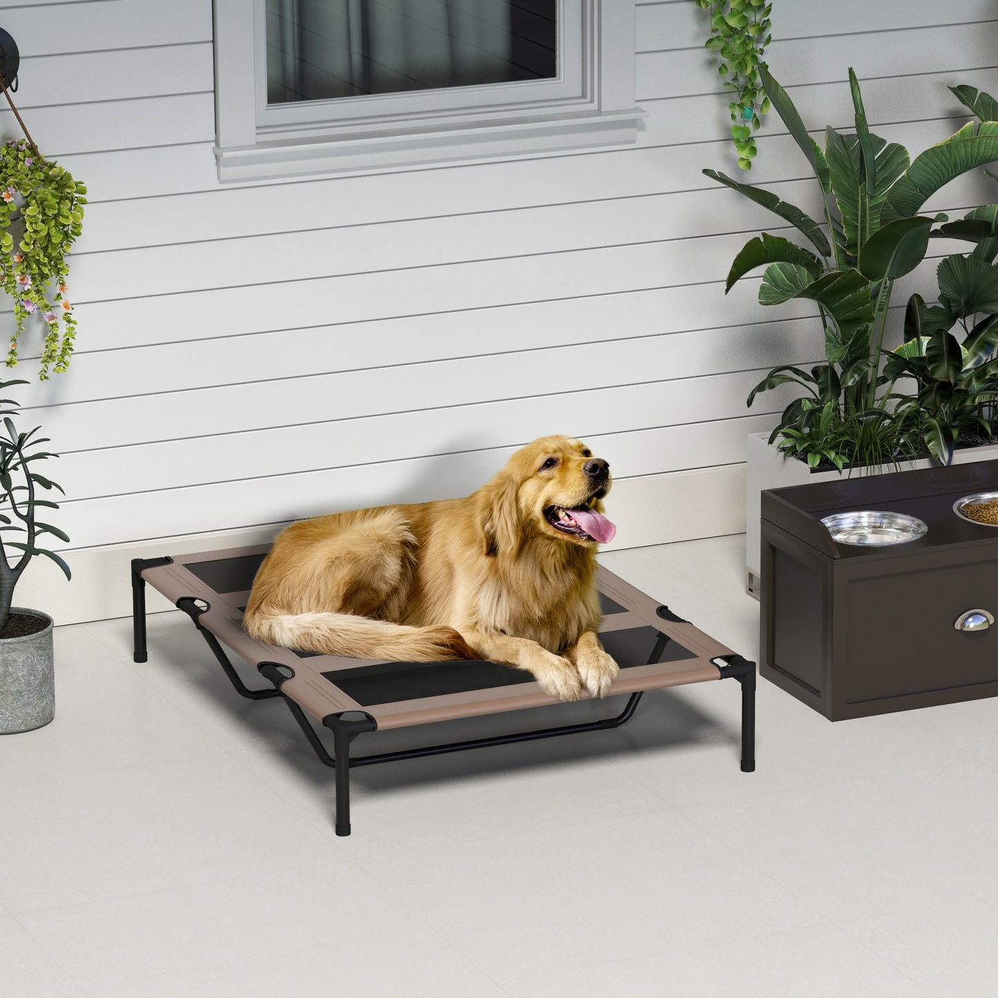 Elevated Dog Bed Cooling Raised Pet Cot for Indoor Outdoor Use, XX Large