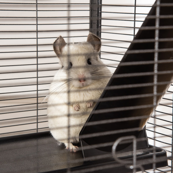 Small Animal Cage with Wheels Pet Home for Chinchillas, Ferrets, Kittens , Hammock, 4 Platforms and Removable Tray